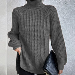 Cotton Turtleneck Raglan Sleeve Split Hem Sweater