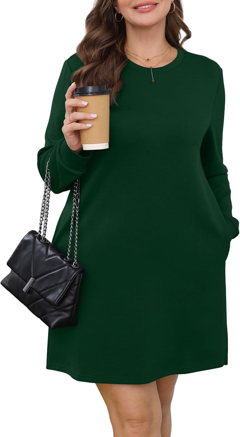 Long Sleeve Casual Loose Fit Fall Fashion Crewneck Mini Dress with Pockets