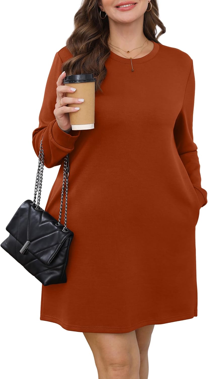 Long Sleeve Casual Loose Fit Fall Fashion Crewneck Mini Dress with Pockets