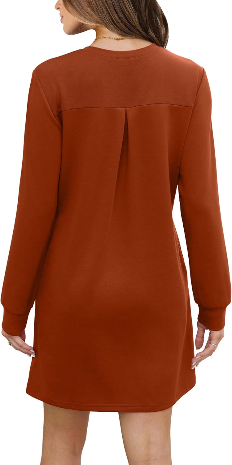 Long Sleeve Casual Loose Fit Fall Fashion Crewneck Mini Dress with Pockets