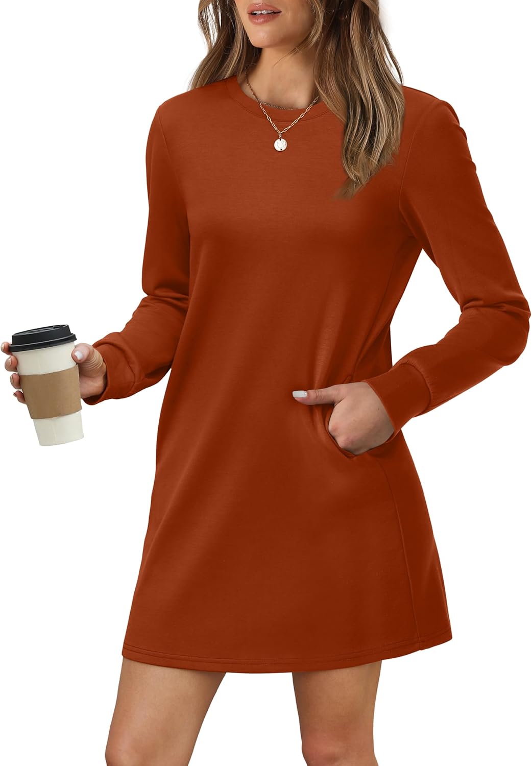 Women Long Sleeve Casual Crewneck Mini Dress with Pockets