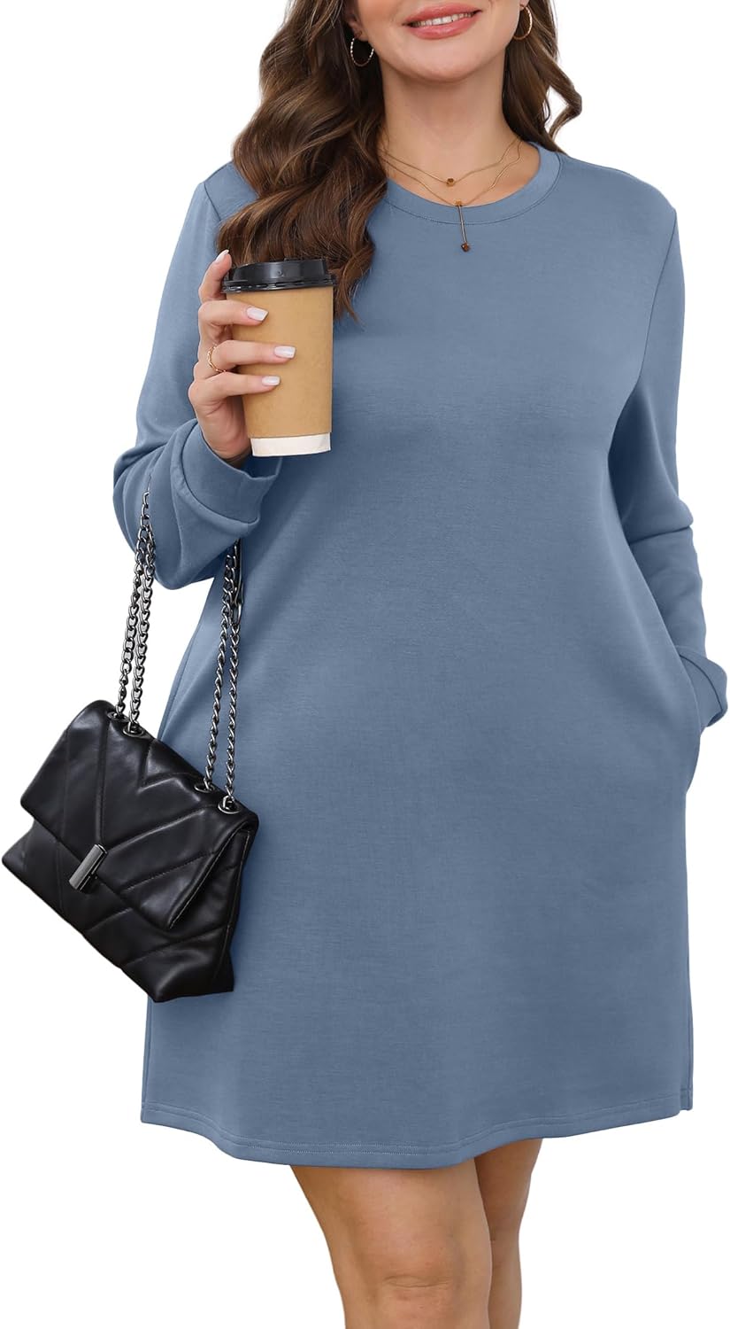 Long Sleeve Casual Loose Fit Fall Fashion Crewneck Mini Dress with Pockets